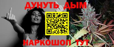 индика Дубна