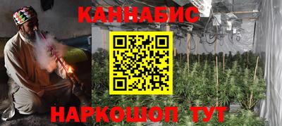 индика Дубна