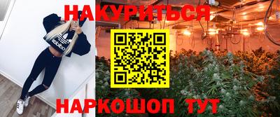 индика Дубна