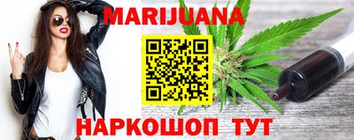 индика Дубна