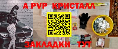 индика Дубна