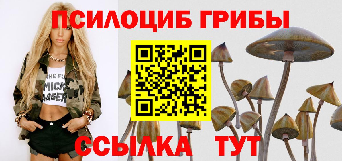 Галлюциногенные грибы Magic Shrooms  Псилоцибиновые грибы прущие грибы  Нижнеудинск  Вход с VPN 