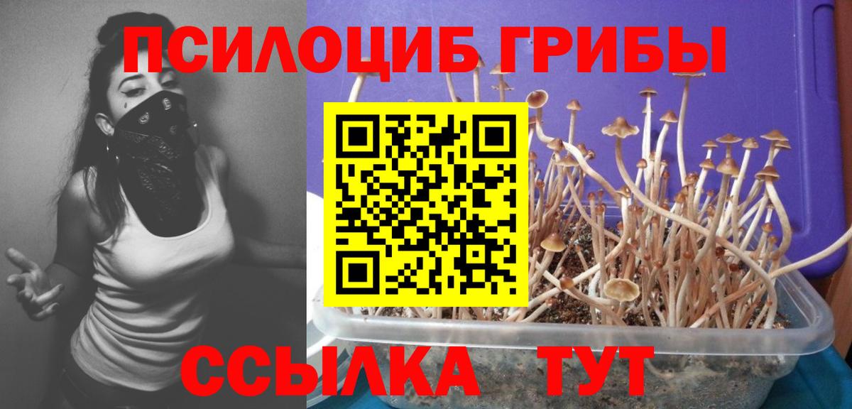 Галлюциногенные грибы ЛСД Нижнеудинск